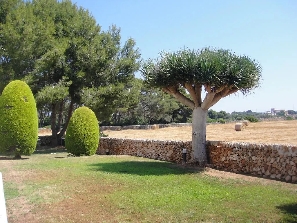 Apartment Apartamentos Piscis Cala Blanca  Spain